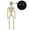 B, variant on Posable Full Body Plastic Skeleton Hanging Ornament with Glow In Dark Eyes, Realistic Human Skeleton Prop, for Halloween Party Decor