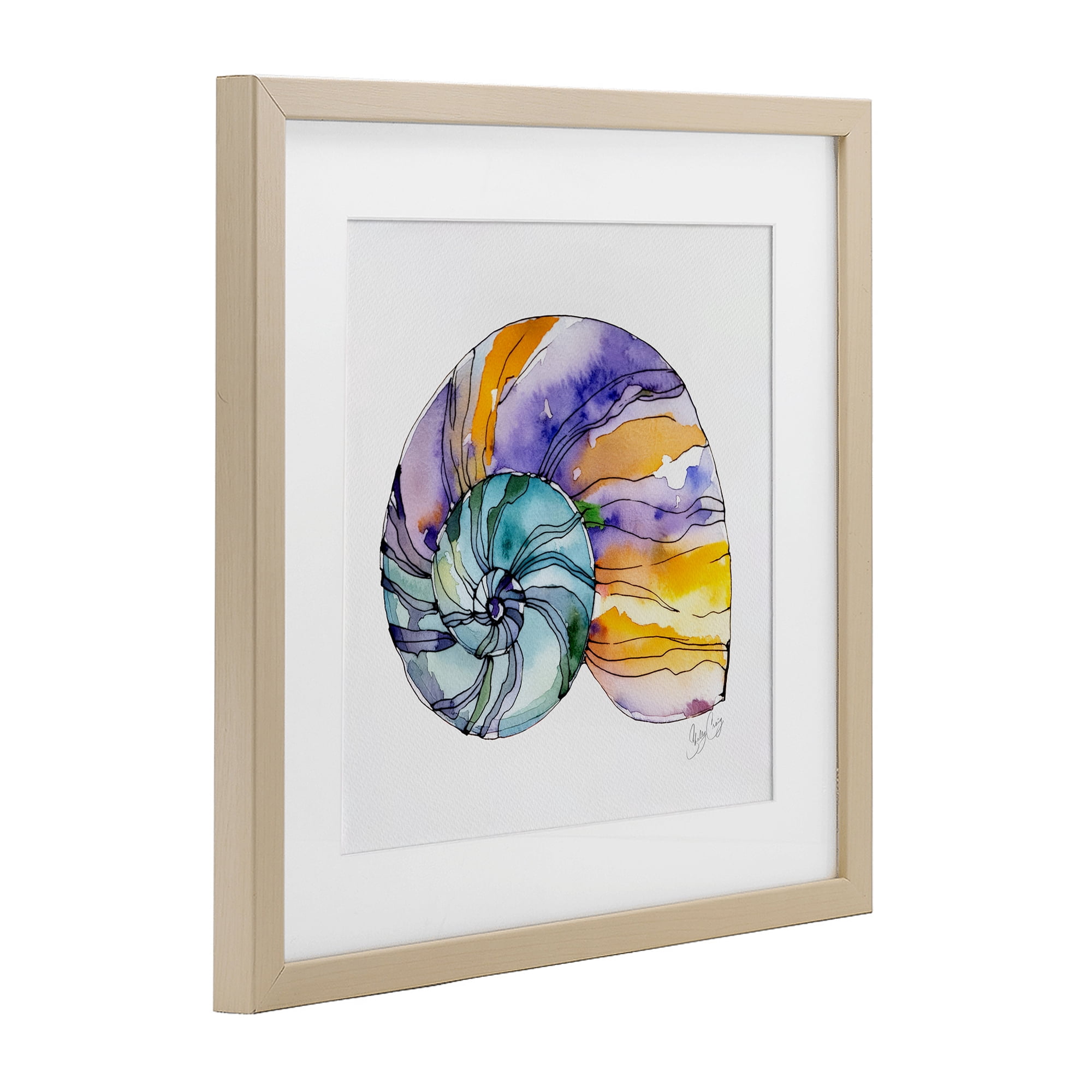 Stupell Industries Sunlit Striped Nautilus Birch Framed Print Under Glass, design by Shelly Craig