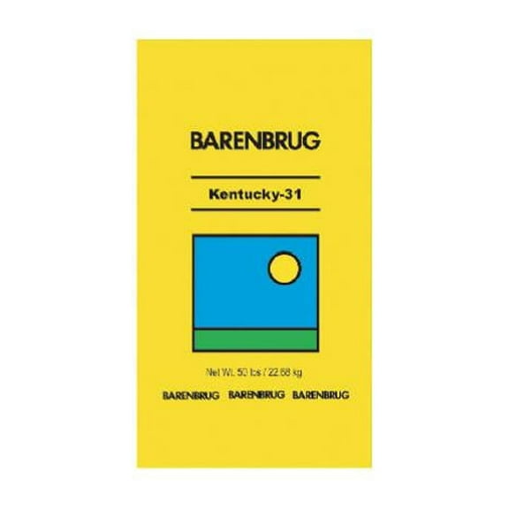 Barenbrug Kentucky 31 Tall Fescue Grass Full Sun/Medium Shade Grass Seed 50 lb