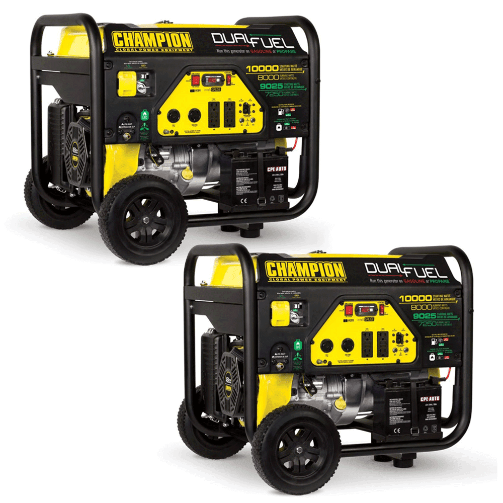 Champion 8000 Watt Portable Electric Start RV Ready Dual Fuel Generator (2 Pack)