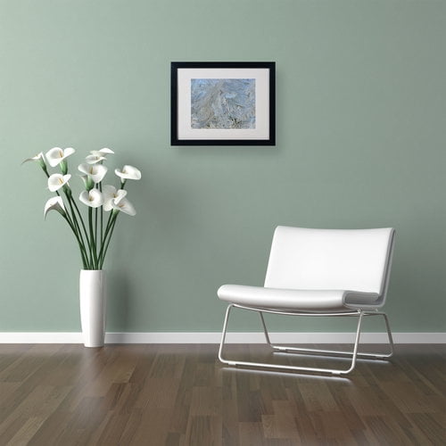 Trademark Fine Art "Frost Pattern #5" by Kurt Shaffer, Black Frame