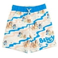 thumbnail image 5 of Bluey Bingo UPF 50+ Pullover Rash Guard and Swim Trunks Outfit Set Toddler to Little Kid, 5 of 5