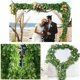 thumbnail image 4 of Decoración para fiestas de bodas, decoración inspirada en la naturaleza, guirnaldas de hiedra artificial, fácil de instalar, pantalla de privacidad, relleno de jardineras, ideal para decoración, 4 of 5