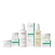 thumbnail image 3 of Crema de Día Annemarie Borlind Regeneration LL 1.7 Fl Oz para Mujer, 3 of 9