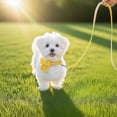 thumbnail image 6 of Minzimin Dog Collar and Leash Set with Bowtie, Soft & Cute Puppy Collar, Cotton Puppy Collar with Adjustable Metal Buckle for Small, Medium Dog, 6 of 9