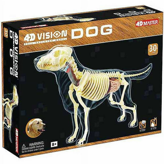 4D MASTER 4D Vision Full Skeleton Dog Model