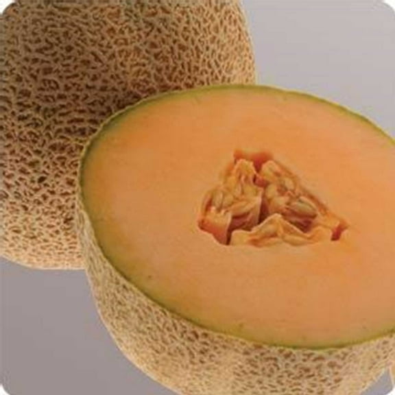 Cantaloupe Melon Garden Seeds - Ball 2076 Hybrid - 1000 Seeds - Non-GMO, Vegetable Gardening Seeds - Fruit