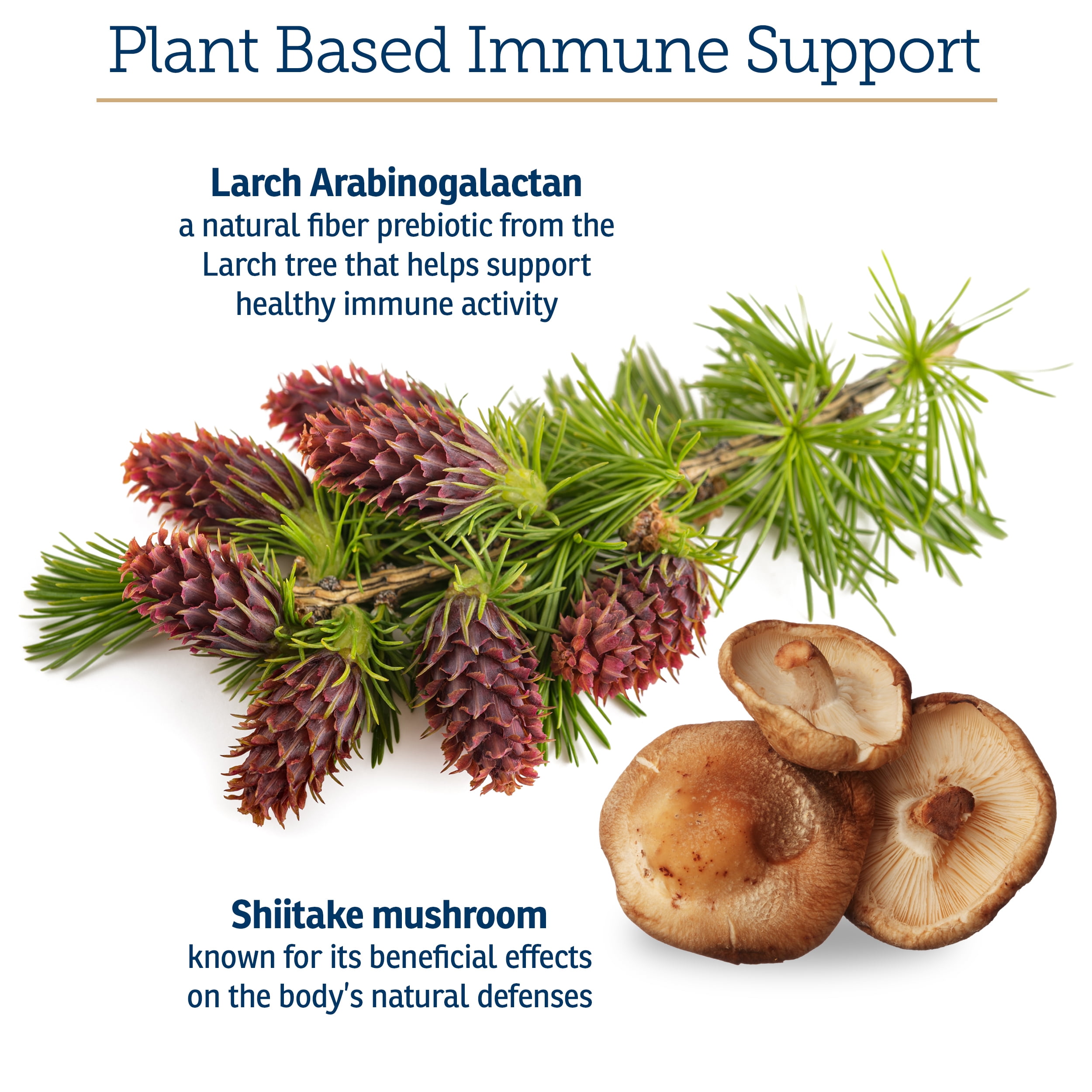 Rx Vitamins Immuno Support - Dog & Cat Immune Support - Shiitake Mushroom Supplement for Dogs & Cats with Arabinogalactan and Lutein Dogs Supplement - Immune Support for Dogs and Cats - 60ct