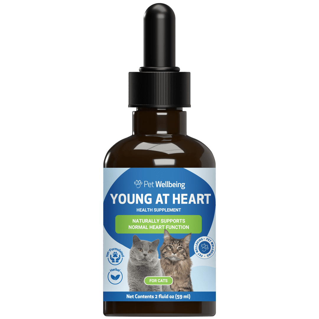 Pet Wellbeing Natural Cardiovascular Support for Cats, Young at Heart 2oz (59ml)