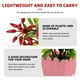 thumbnail image 3 of ColoMX 1pc Simulation Chili Ornament Oney Flowerpot Bonsai para Hotel, 3 of 7
