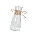 thumbnail image 2 of Glass Vases Transparent Water Hydroponics Flower Rope Dry Flower Vase Living Room Table Decoration;Glass Vases Transparent Water Hydroponics Flower Rope Dry Flower Vase, 2 of 9