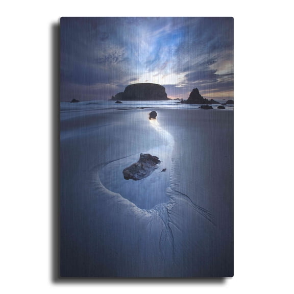 Luxe Metal Art 'Reflection Whale Head' by Thomas Haney, Metal Wall Art, 24"x36"
