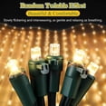 thumbnail image 3 of Slow Twinkling Christmas Net Lights, 6 x 4 ft Net, 100 Bulbs Twinkle Pulsing, 5mm LED Wide Angle Soft Random Shimmering Outdoor Light Set with Green Wire, Warm White(2 Pack), 3 of 7