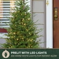 thumbnail image 5 of Fraser Hill Farm 4-Ft Adirondack Pre-Lit Potted Christmas Tree Decor with Warm White LED Lights, FFAD048P-5GR, 5 of 11