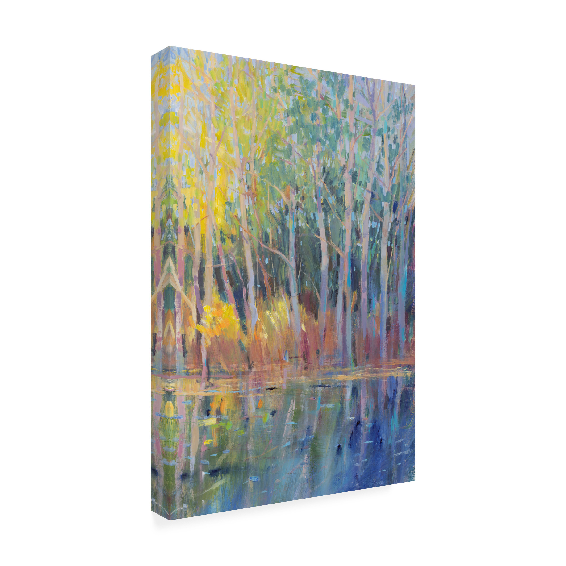 Tim OToole 'Reflected Trees I' Canvas Art