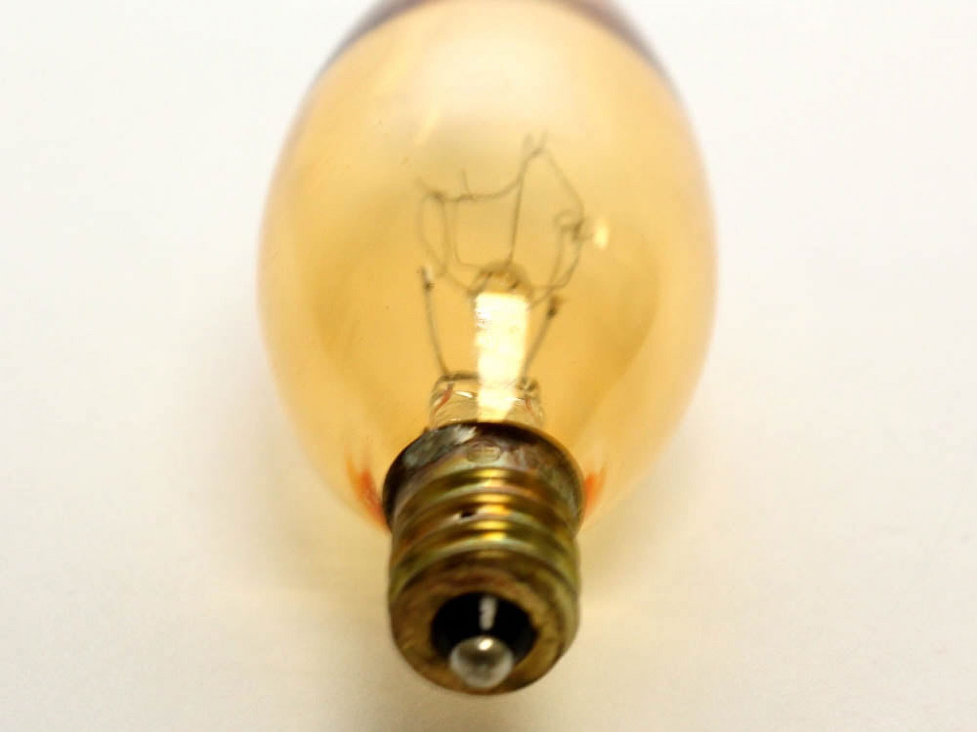 Bulbrite Decorative - Incandescent light bulb - shape: CA10 - E12 - 15 W - warm white light - 2700 K - antique - image 4 of 4