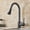 matte black, variant on Senlesen Pull Out Stainless Steel Chrome 360° Single Handle Mixer Faucet