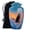 Eagle-1, variant on Remembrate Eagle Adult Urns for Human Ashes Men and Women 10 Inch, 4 Keepsake Set - Sunrise Funeral Urns for Ashes Men - Trees Memorial Urn for Adult Female - Large Urn for Cremains