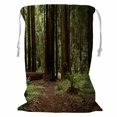 thumbnail image 1 of YUSDECOR Coastal Redwood Trees National Monument Part Storage Basket Laundry Bag with Drawstring Size 24x32 Inch, 1 of 3
