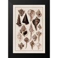 thumbnail image 2 of Sowerby, G.B. 17x24 Black Modern Framed Museum Art Print Titled - Shells: Trachelipoda #4 (Sepia), 2 of 5