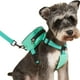 thumbnail image 5 of Mochila con dibujos animados para perro, ajustable, con correa para cachorro (verde), 5 of 6