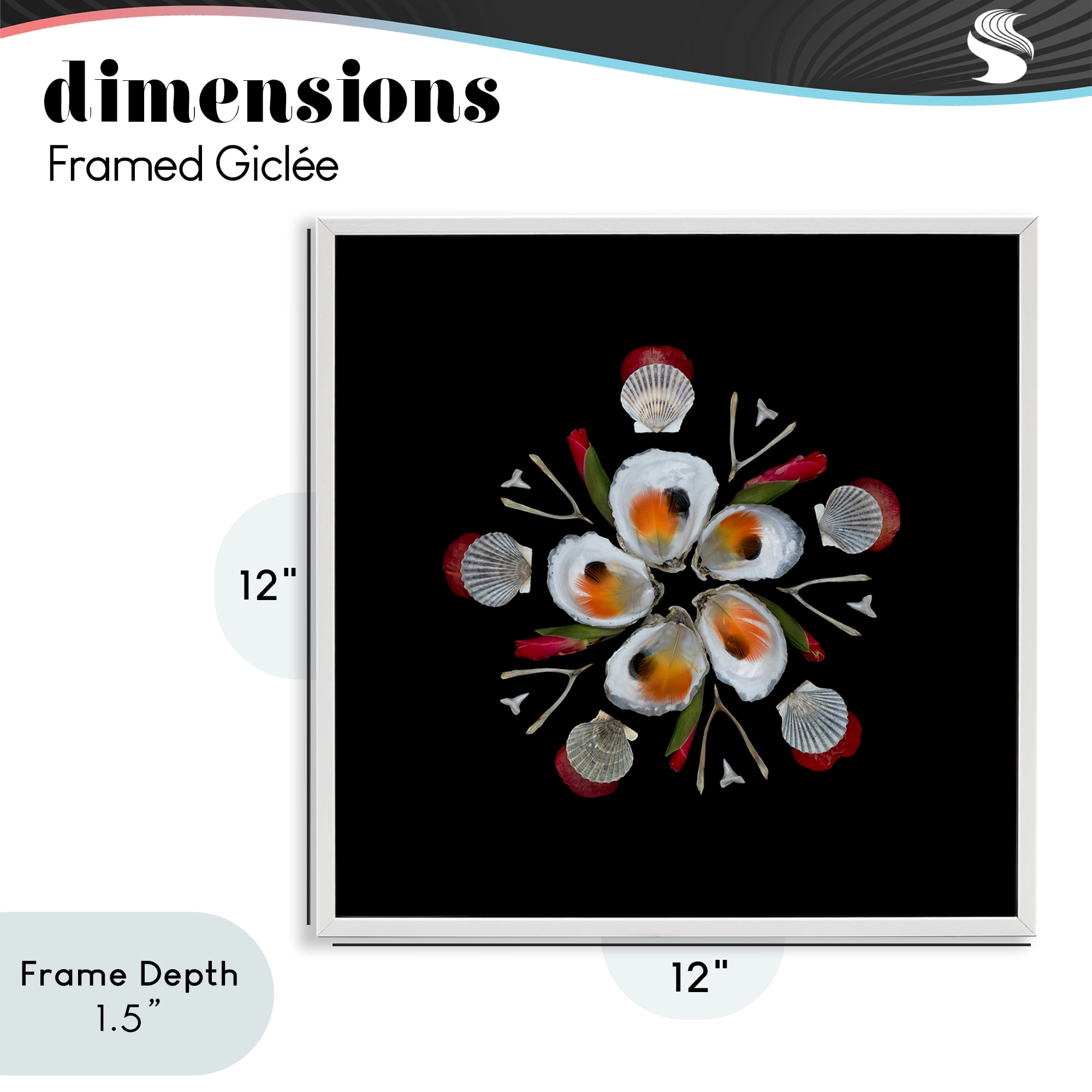 Stupell Industries Nautical Oysters Mandala White Framed Giclee Art, design by Beth Adoette