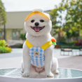 thumbnail image 6 of Cartoon Pet Leash and Sun Hat Set 4pcs Outdoor Summer Costume Accessories for Small Dogs and Cats Suitable for Puppy Kitten Toy Breed Cats(XS,Sky Blue), 6 of 7