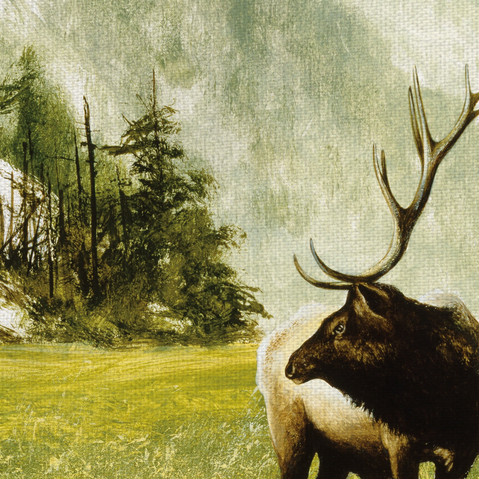 Masterpiece Art Gallery Morning Call Of An Elk By Noah Bay Canvas Art Print 30" x 40"