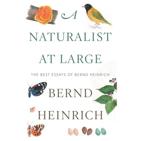 A Naturalist at Large : The Best Essays of Bernd (Best Essays On Terrorism)