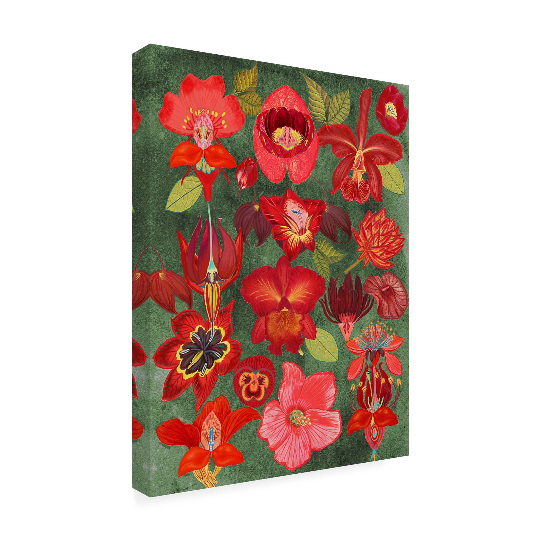 Trademark Fine Art giovanna nicolo  Final Eclectic Garden Canvas Wall Art