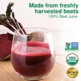 thumbnail image 3 of (Pack of 6) Biotta Organic Beet Juice 16.9 Fl Oz, 3 of 7