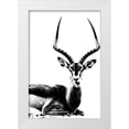 thumbnail image 1 of Sommers, Mindy 11x14 White Modern Wood Framed Museum Art Print Titled - Antelope, 1 of 4