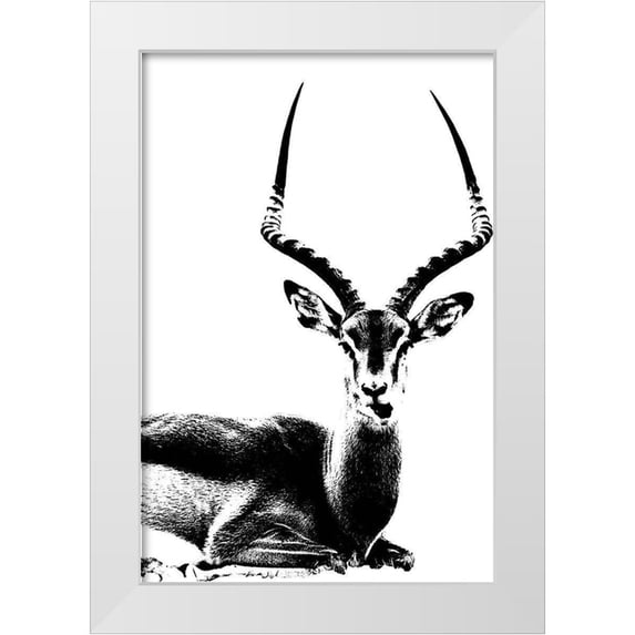 Sommers, Mindy 11x14 White Modern Wood Framed Museum Art Print Titled - Antelope