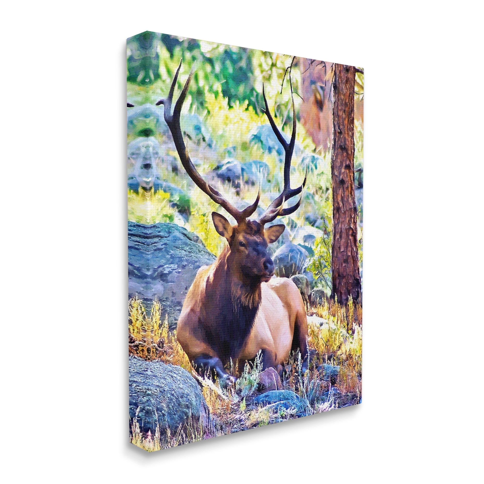 Stupell Industries Stag Deer Resting Amid Forest Trees Natural Wildlife Graphic Art Gallery Wrapped Canvas Print Wall Art, Design by Alpenglow Workshop