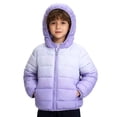 thumbnail image 3 of Liyamei Boys Hooded Gradient Padded Jacket with Zipper for Winter Outdoor Play Size 5-6 Years, 3 of 6