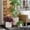 Beige, variant on Safavieh Carolina Round Beige Fiber Clay Plant Pots - Set of 3