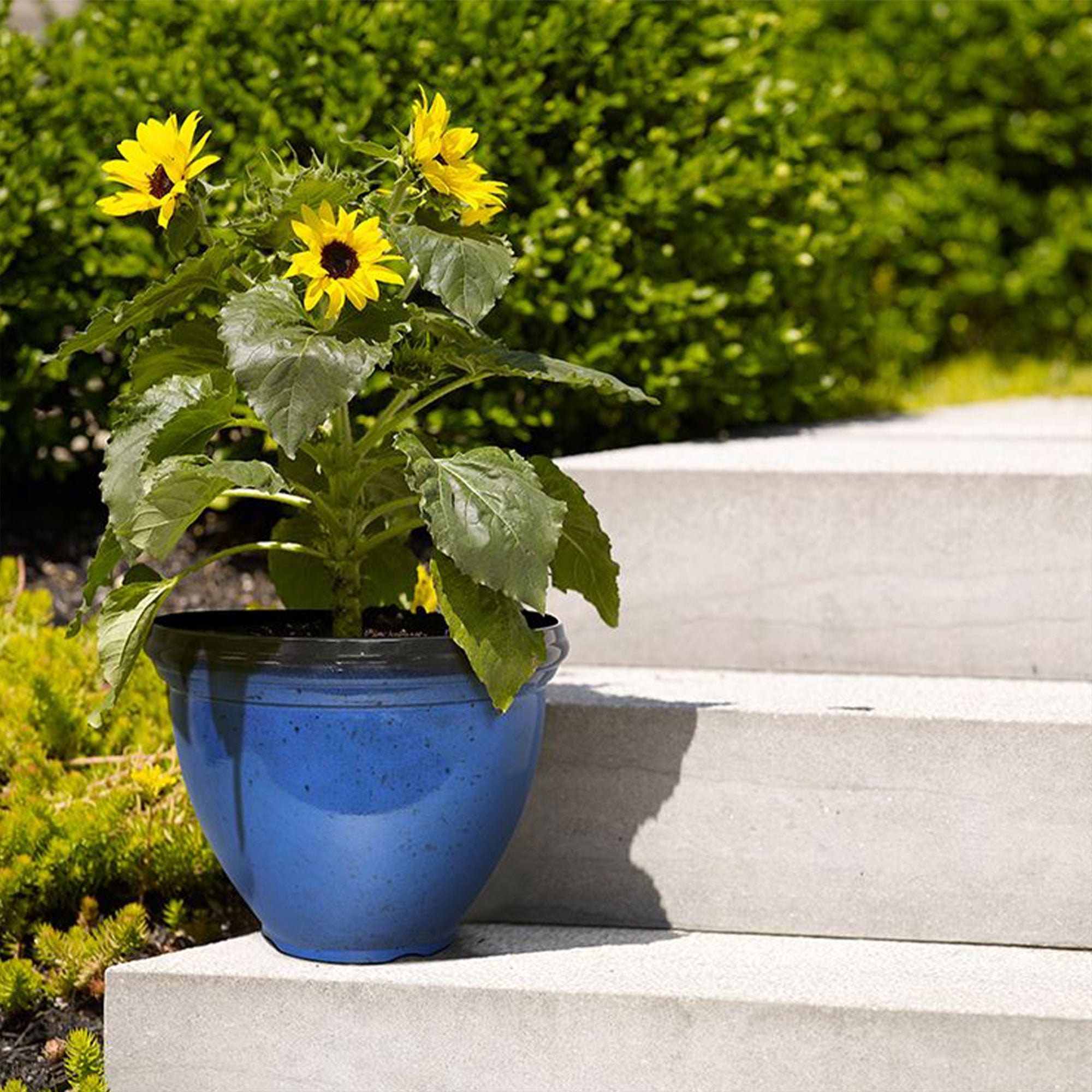 Flowerpot Rotondo Con Ciotola Di Plastica Sploff Bowl 47.8  Long  X 47 8 Larghezza X 30 Altezza Cm 86333747