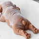 thumbnail image 5 of Molde De Silicona 3D Para Perro Shar Pei, Moldes Bonitos Para Chocolate, Gelatina, Helado, Fondant, Decoración De Pasteles DIY, Molde Para Mousse, 5 of 8