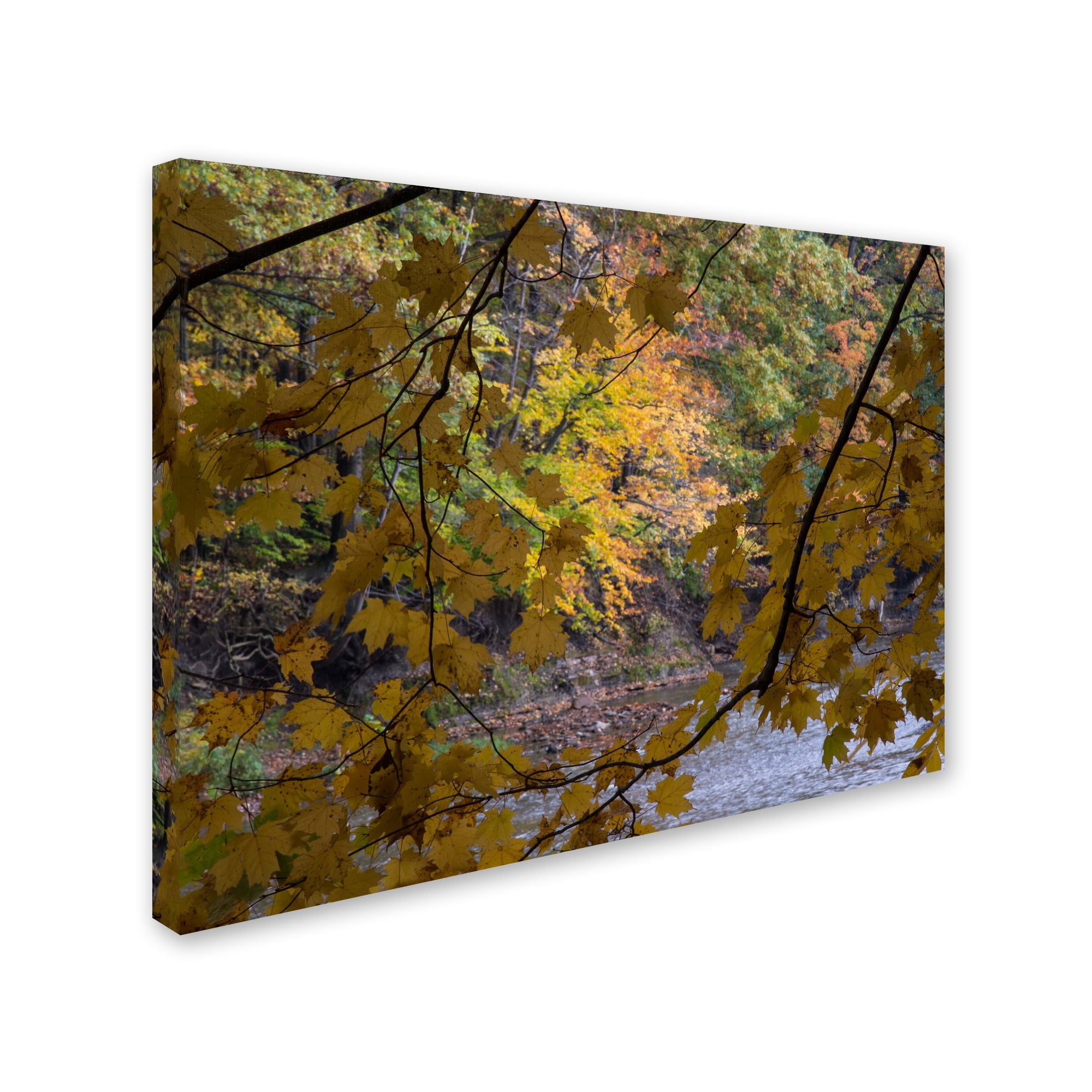 Trademark Fine Art "Brilliant Ohio Autumn" Canvas Art by Kurt Shaffer