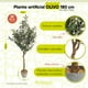 thumbnail image 2 of Planta artificial decorativa Artego Olivo grande 180cm para hogar sala comercio oficina, 2 of 8