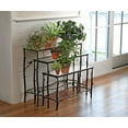 thumbnail image 2 of Nesting Branch Plant Stands Set of 3, 2 of 2