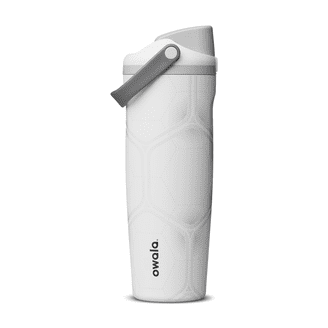 Owala FreeSip Sway Water Bottle, 30oz, Stainless Steel, Gray