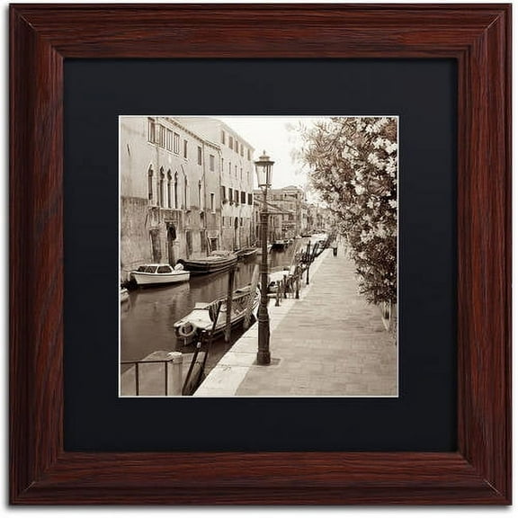 Trademark Fine Art "Venezia VII" Canvas Art by Alan Blaustein, Black Matte, Wood Frame
