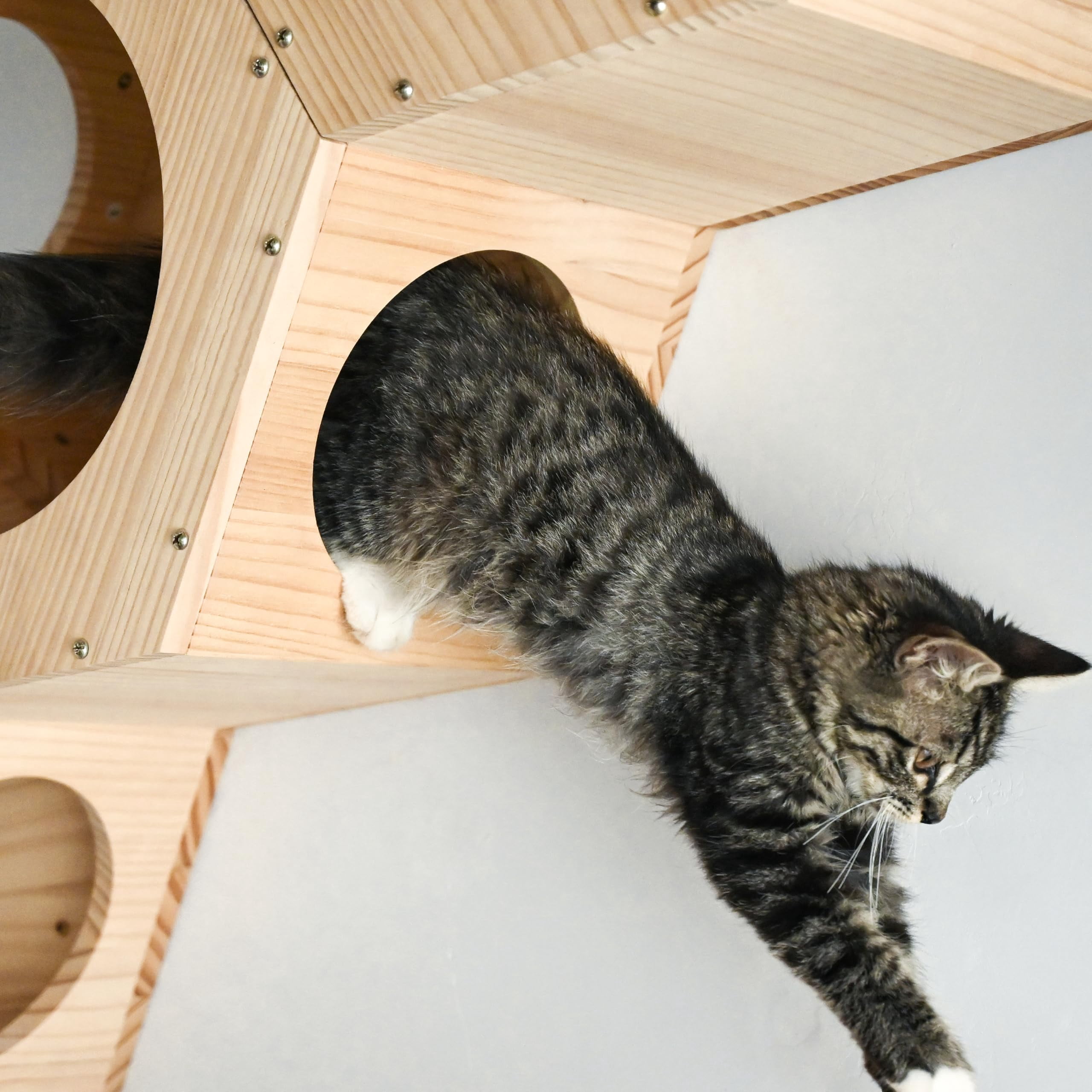 Cat Wall Shelves And Furniture Set With 3 Hexagon 4 Z-shaped Jump Platform (e)