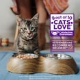thumbnail image 2 of Wellness Healthly Indulgence Shreds Adult Wet Cat Food, Natural, Protein-Rich, Grain Free, 3 Ounce Pouch, 24 Pack, (Tuna & Shrimp), 2 of 7