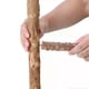 thumbnail image 2 of Natural Wood Bird Perch Stand, Hanging Multi Branch Perch for Parrots, Parakeets Cockatiels, Conures, Macaws, Love Birds, Finches, 2 of 4