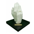 thumbnail image 2 of Pro Hand EZ Cast Kit - by ArtMolds Brand - Create Hand Molding and Casting in Plaster Kit, 2 of 4