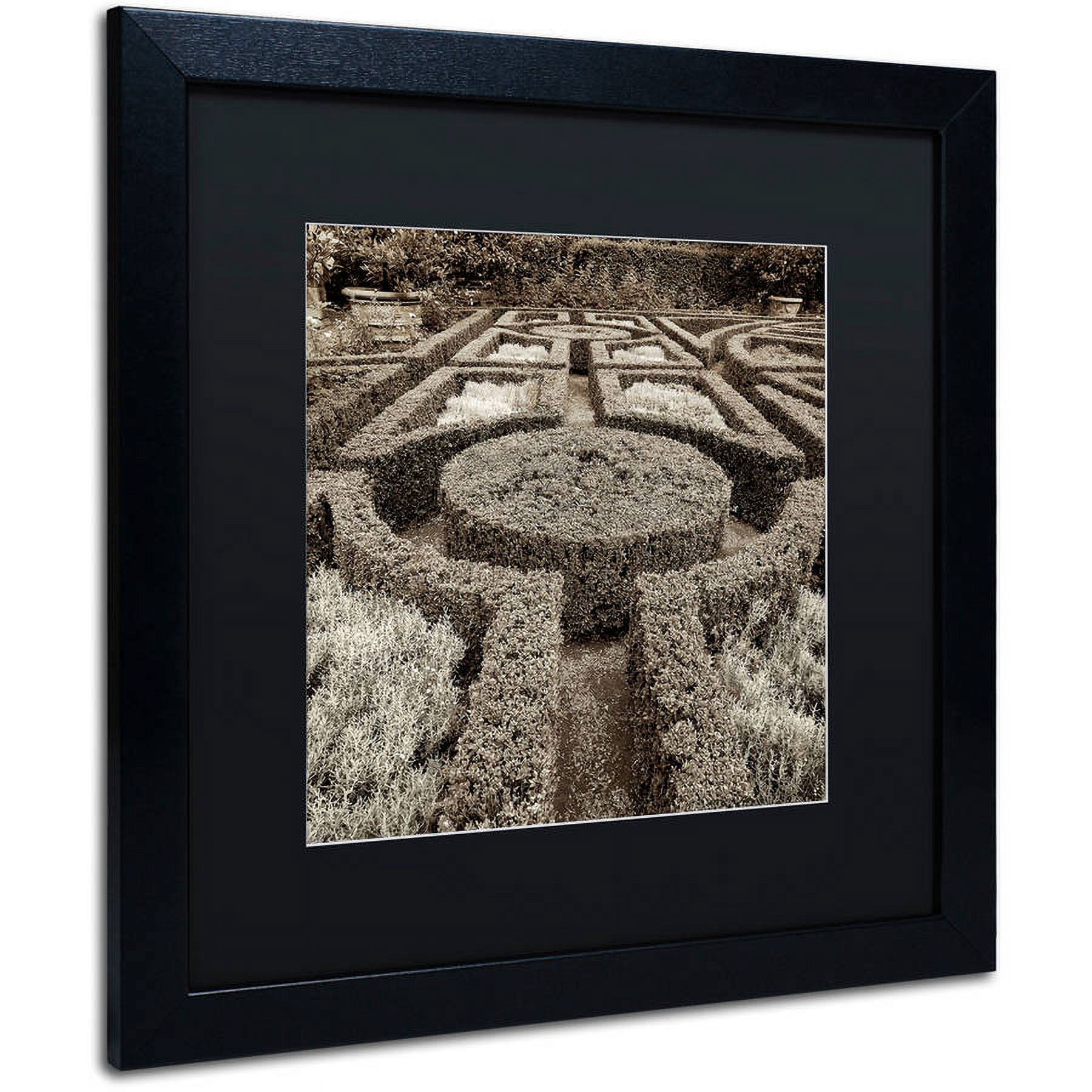 Trademark Fine Art "Tuscan Giardini I" Canvas Art by Alan Blaustein, Black Matte, Black Frame