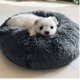 thumbnail image 3 of ZHAOCHENG Cama Redonda para Perros y Gatos, Suave y Acogedora Felpa para Gato Donut, Cama cálida y Esponjosa para Cachorros, para Dormir (Aprox. 45 - 50 cm de diámetro Exterior) Color café Oscuro - Ni, 3 of 4