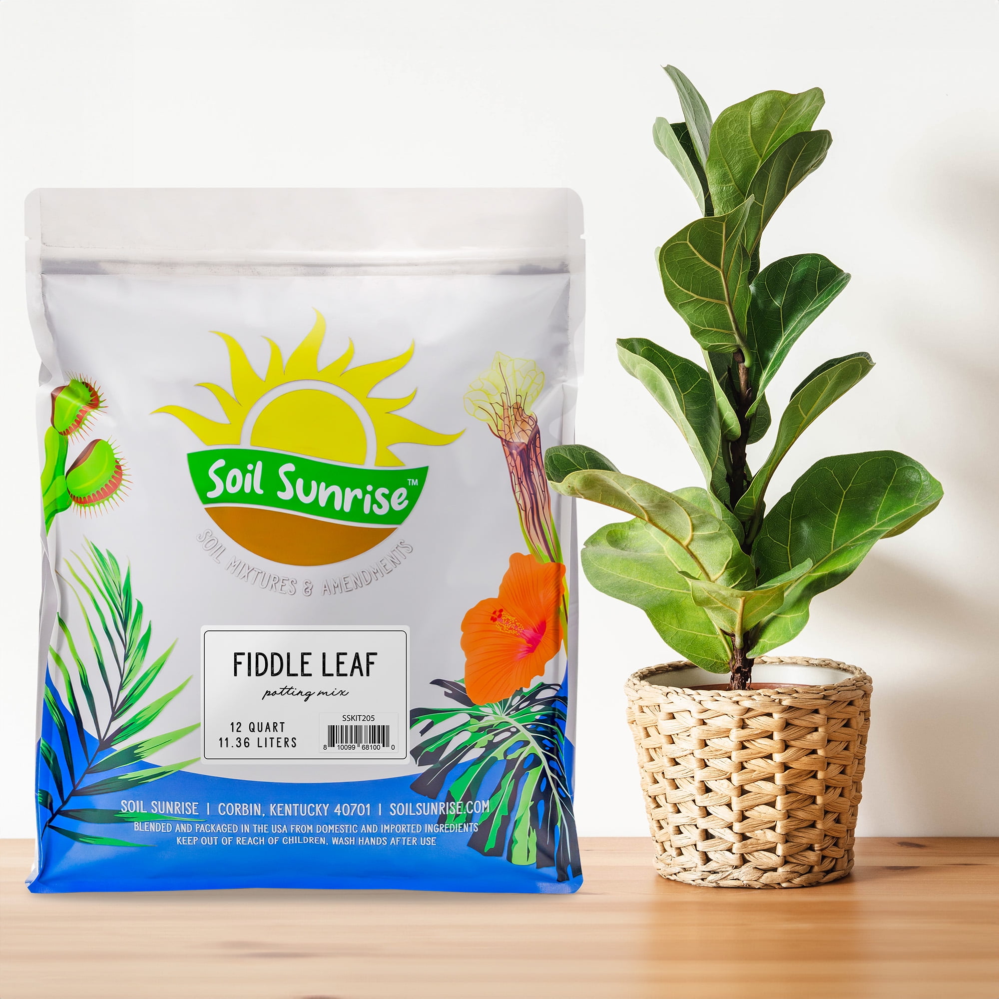 Premium Fiddle Leaf Fig Tree Soil (12 Quarts) - Expert Formula for Vibrant Growth - Nutrient-Rich Potting Mix, Specifically Designed for Healthy Indoor, Outdoor, and Potted Fiddle Fig Plants